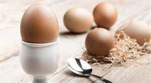 重庆供卵试管哪里不用排队，小儿夏季饮食的原则是什么