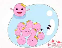 正规的代妈公司_试管供卵助孕机构包成功：上海和南京做三代试管哪个好
