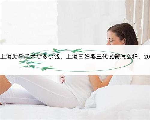 试管代孕成功率多少，上海助孕手术需多少钱，上海国妇婴三代试管怎么样，