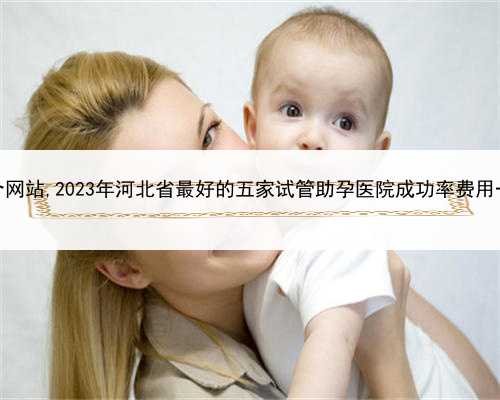 代孕花费多少钱，河北助孕中介网站,2023年河北省最好的五家试管助孕医院成功
