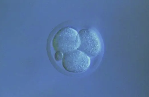 重庆的供卵试管机构有吗，输卵管过长做供卵试管婴儿的费用是多少